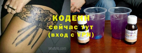 сатива Дмитровск
