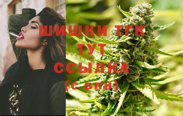 сатива Дмитровск