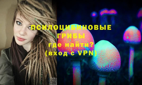 сатива Дмитровск