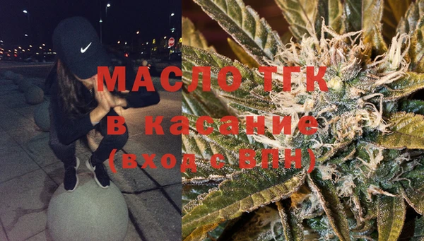 сатива Дмитровск