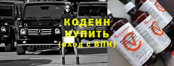 сатива Дмитровск