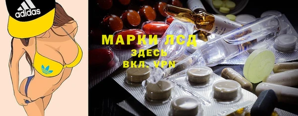 сатива Дмитровск