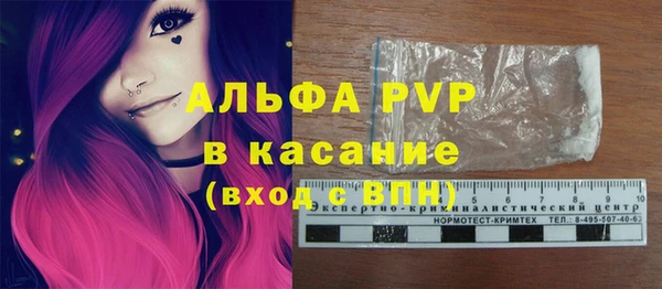 сатива Дмитровск