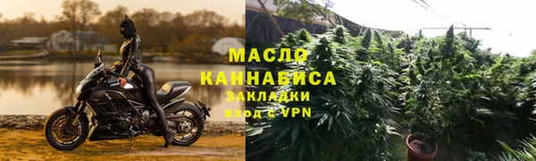 сатива Дмитровск